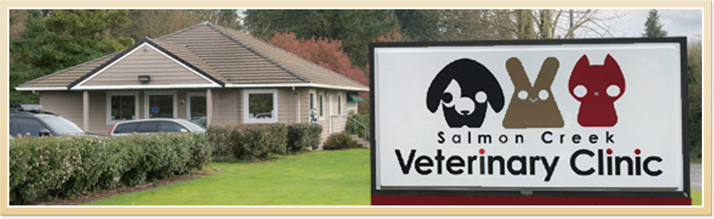 Salmon Creek Veterinary Clinic Location