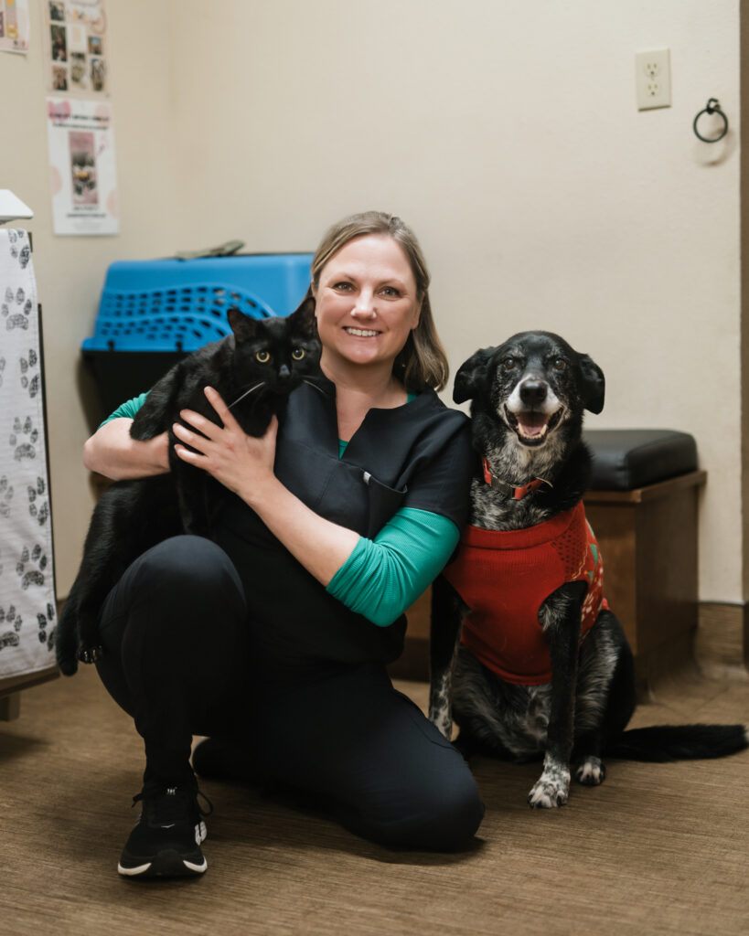 vancouver veterinarian