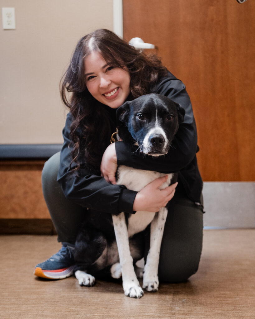 vancouver veterinarian
