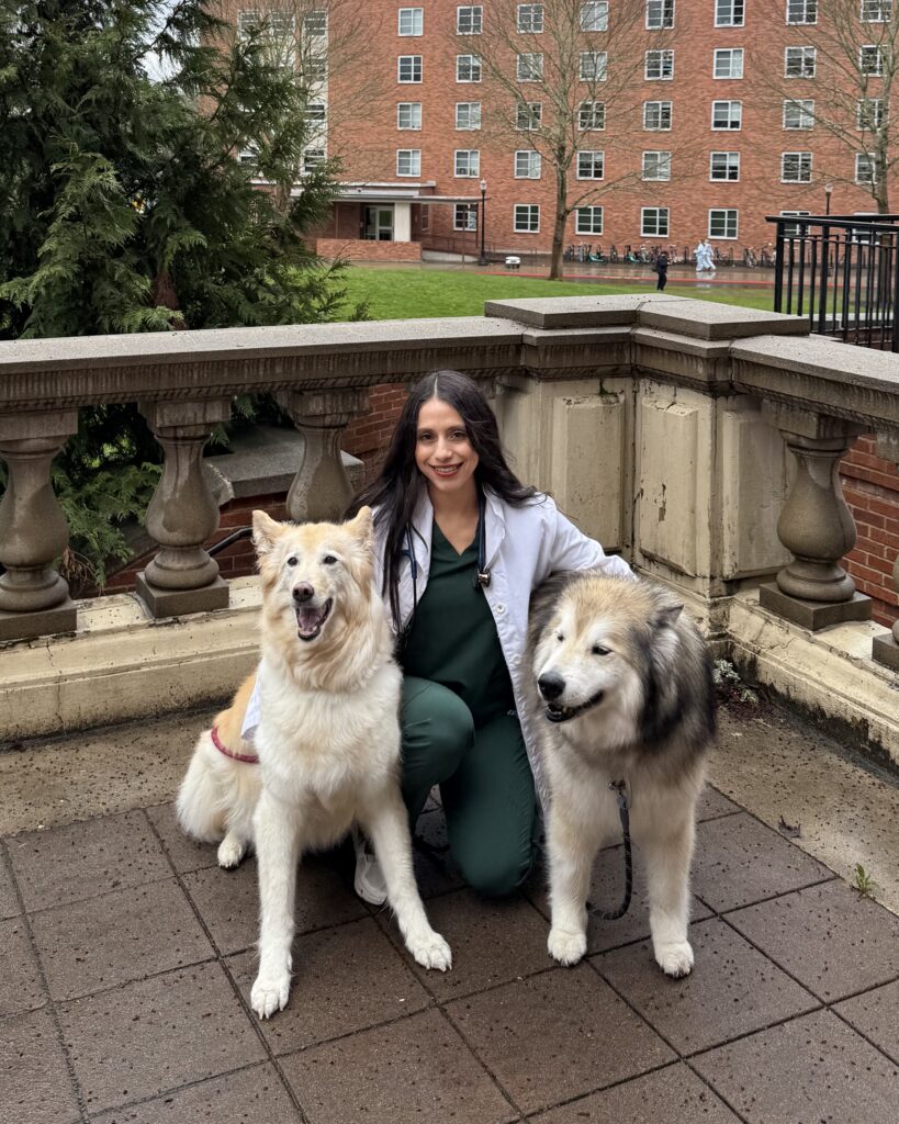 veterinarian in vancouver