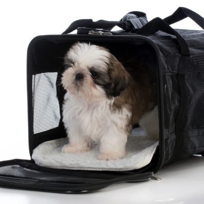 Depositphotos_140342238_S Depositphotos_140342238_S