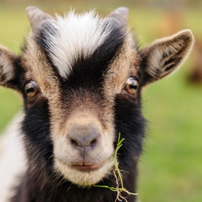 Depositphotos_184155414_S Depositphotos_184155414_S