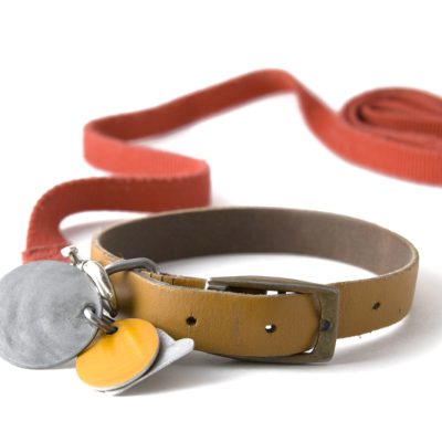 Depositphotos_2389653_S pet collar grieving