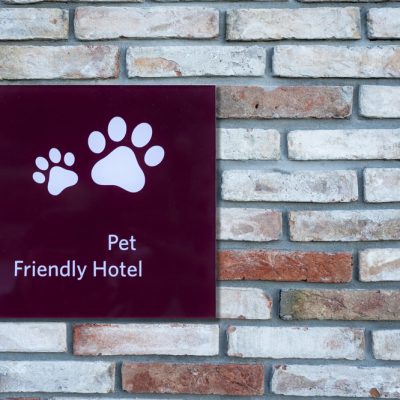Depositphotos_62107119_S pet friendly hotels for dogs