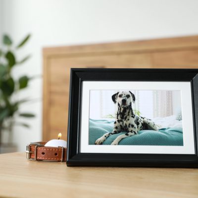 Depositphotos_660512936_S Depositphotos_660512936_S